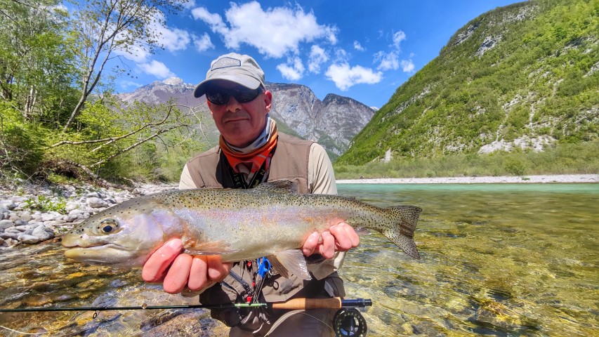 rainbow dry fly.